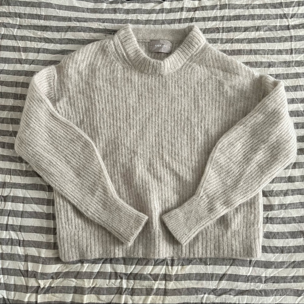 Everlane Oversized Alpaca Crew